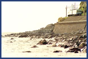 �А����c�`�ɓ����